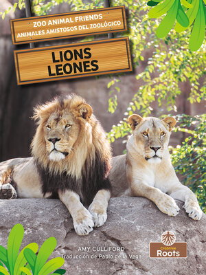 cover image of Lions (Leones) Bilingual Eng/Spa